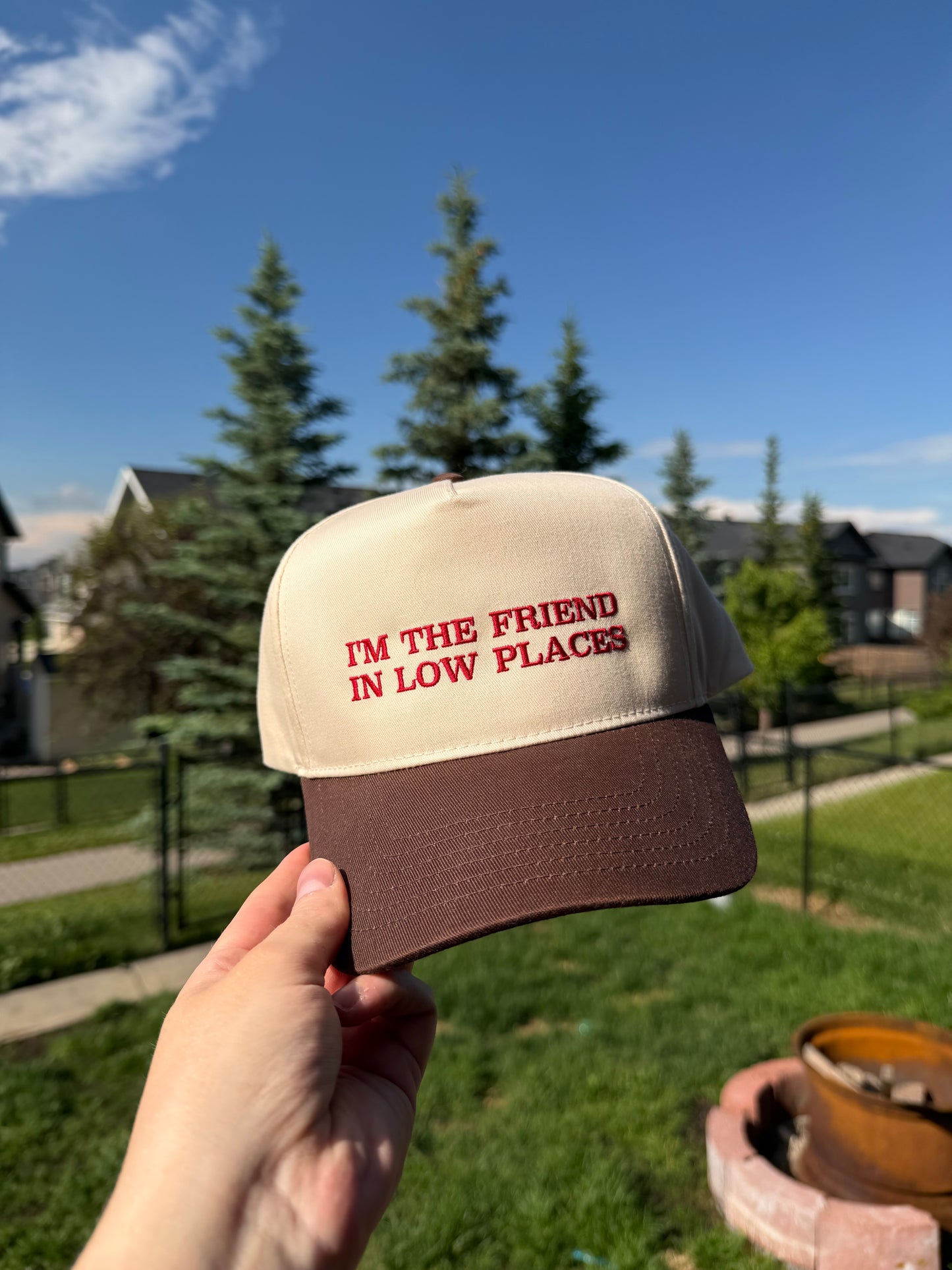 Im the friend in low places hat