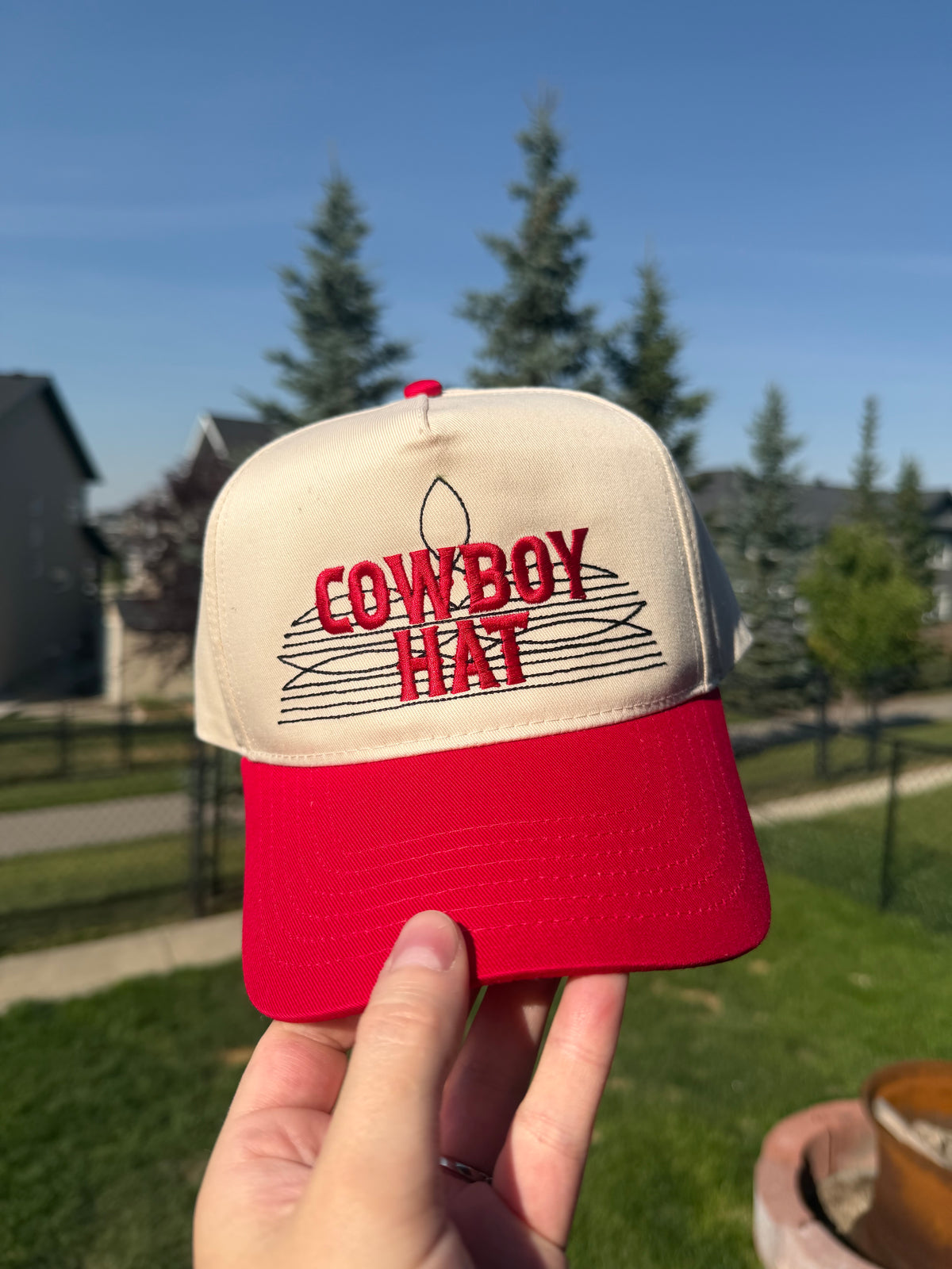 Cowboy Hat Snapback