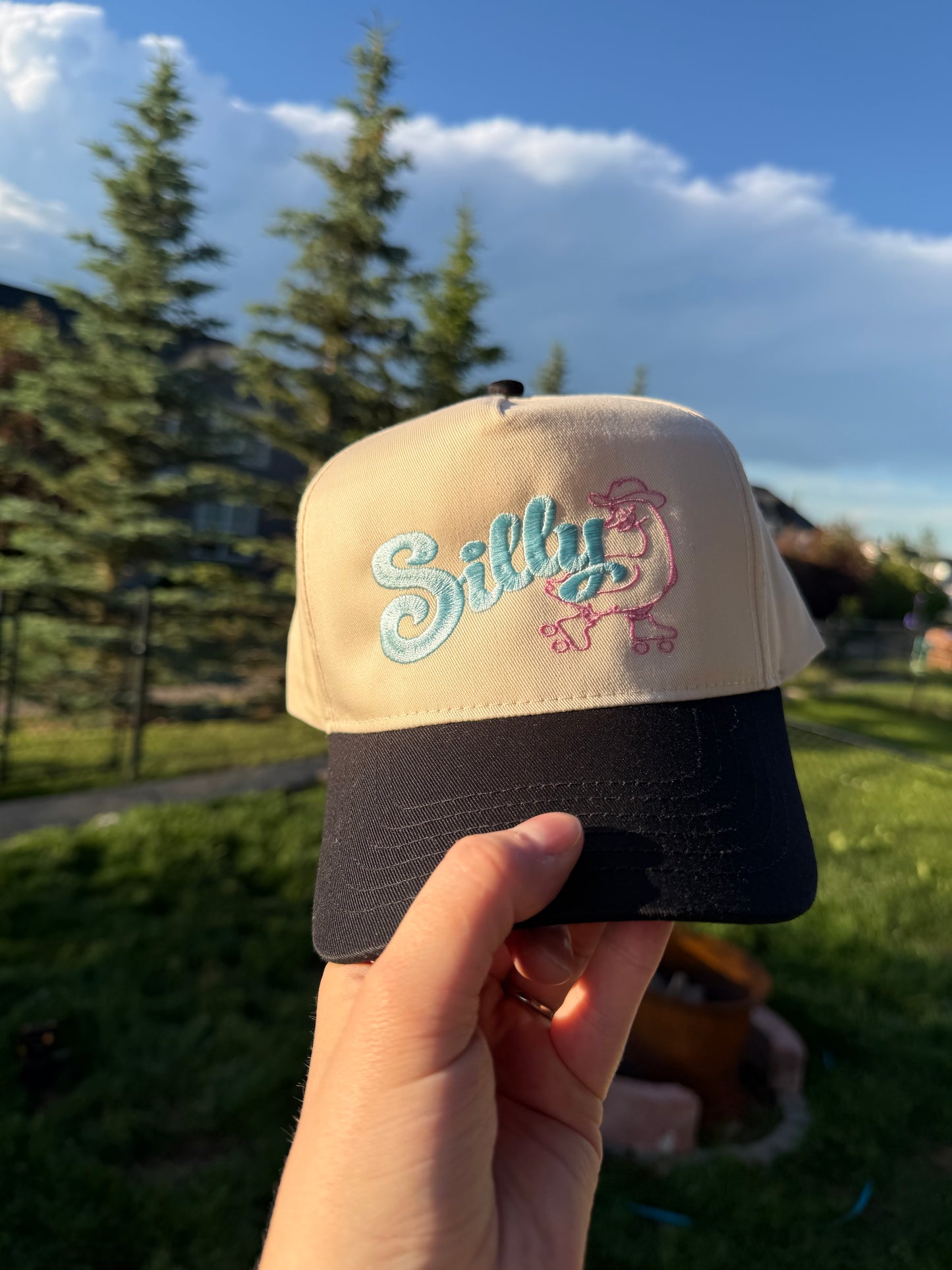 Silly Goose Hat